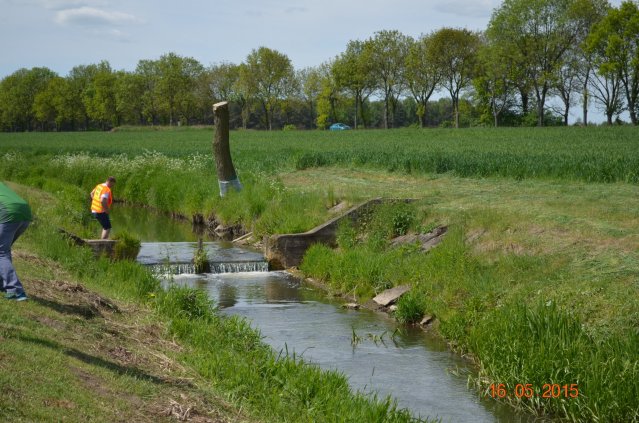 marsz g 2015 329 kopiowanie